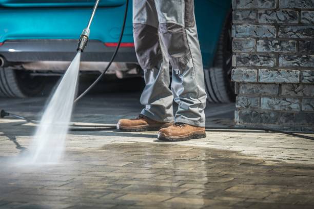 Best Dumpster Area Cleaning  in La Presa, CA