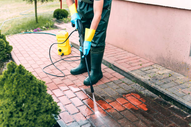 Best Patio and Deck Pressure Washing  in La Presa, CA