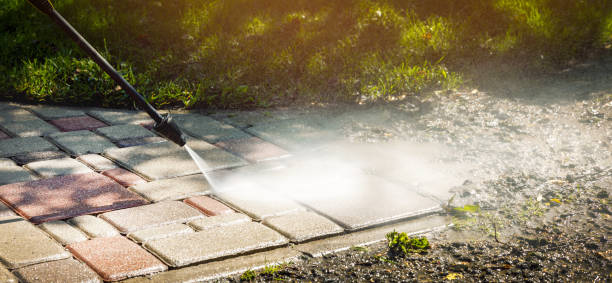 Best Animal Enclosure Cleaning  in La Presa, CA